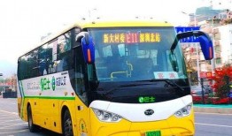 深圳公交大巴最新爆料,路线调整与票价变动一览