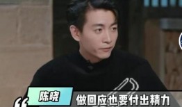 刘大锤最新爆料一览,揭秘娱乐圈幕后真相