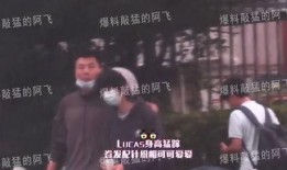 阿飞视频爆料大全最新,揭秘娱乐圈幕后真相